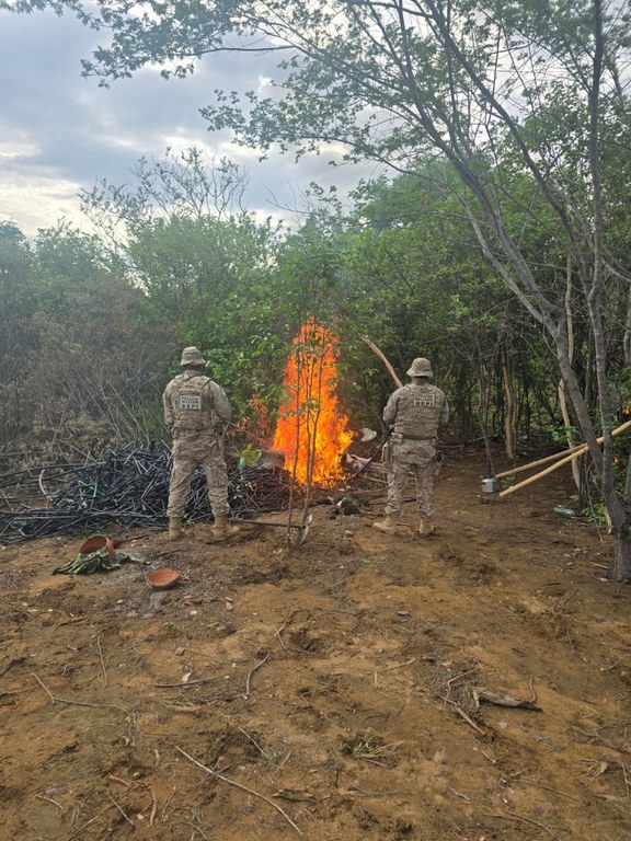 WhatsApp Image 2026-02-13 at 08.10.29.jpeg