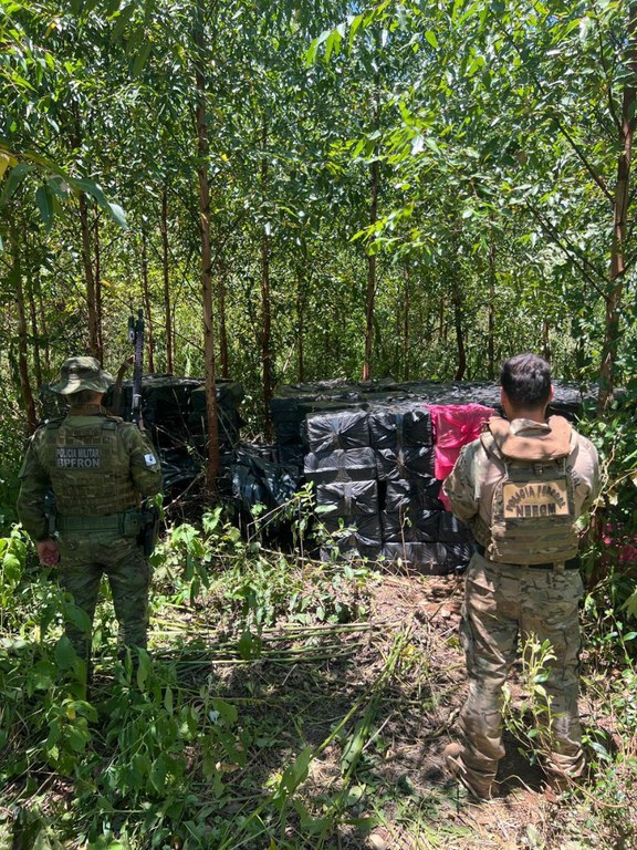 WhatsApp Image 2026-02-11 at 10.51.56.jpeg