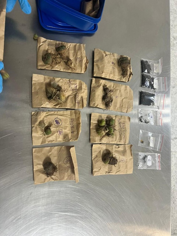 WhatsApp Image 2026-02-27 at 08.40.28 (1).jpeg