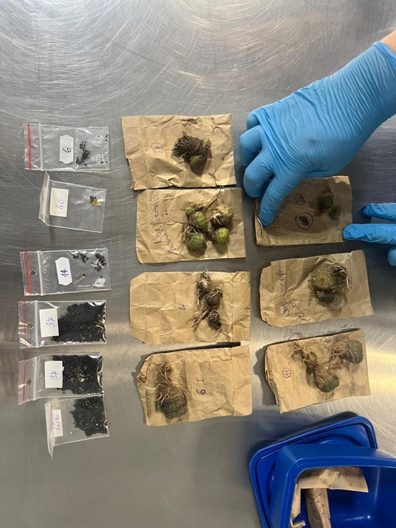 WhatsApp Image 2026-02-27 at 08.40.28 (2).jpeg