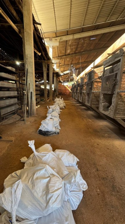 WhatsApp Image 2026-02-12 at 13.39.37.jpeg