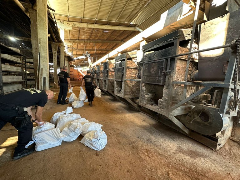 WhatsApp Image 2026-02-12 at 13.47.18.jpeg