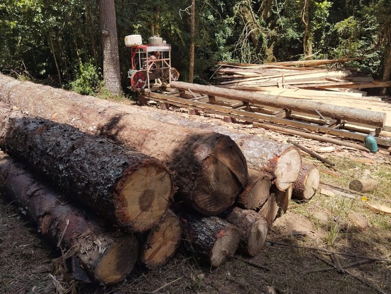 WhatsApp Image 2026-02-10 at 14.15.52.jpeg