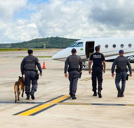 WhatsApp Image 2026-02-12 at 13.58.32.jpeg