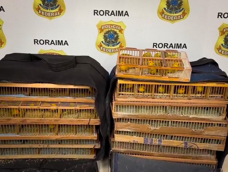 WhatsApp Image 2026-02-24 at 13.59.48.jpeg