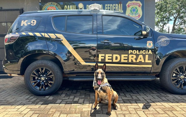 WhatsApp Image 2026-02-10 at 14.48.02.jpeg