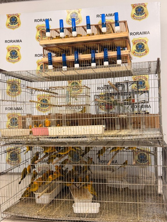 WhatsApp Image 2026-02-15 at 11.40.45.jpeg