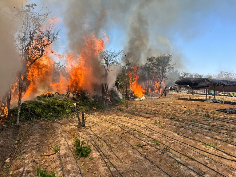 WhatsApp Image 2026-03-31 at 06.22.34.jpeg