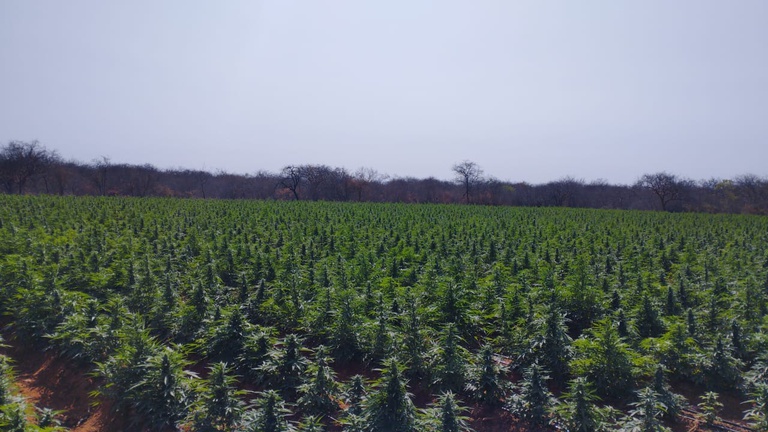 WhatsApp Image 2026-03-31 at 06.22.35 (1).jpeg