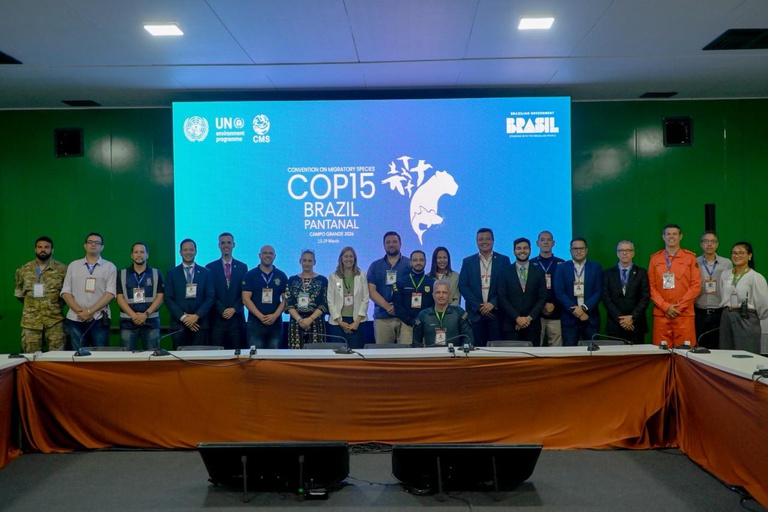 WhatsApp Image 2026-03-27 at 15.23.12.jpeg