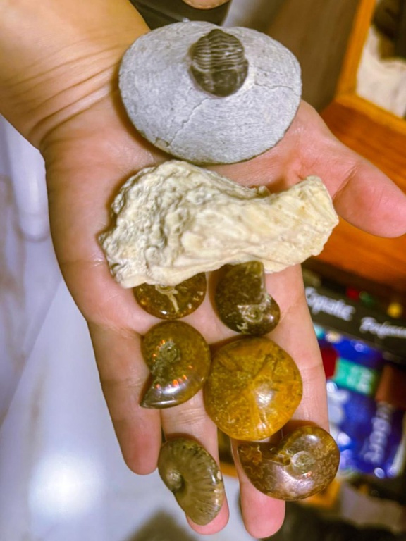 WhatsApp Image 2026-03-05 at 11.12.32.jpeg