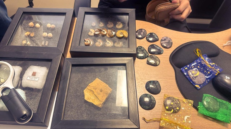 WhatsApp Image 2026-03-05 at 11.17.22.jpeg