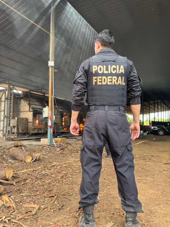 PF incinera quase duas toneladas de drogas no Tocantins