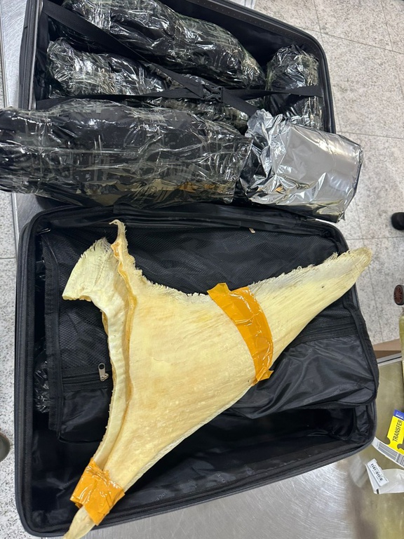 WhatsApp Image 2026-03-03 at 15.57.32 (2).jpeg