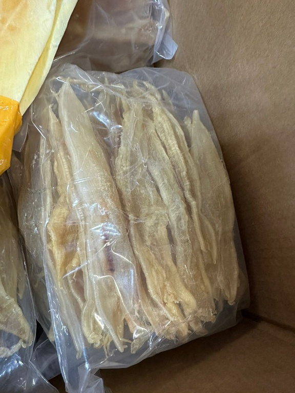 WhatsApp Image 2026-03-03 at 15.57.32.jpeg