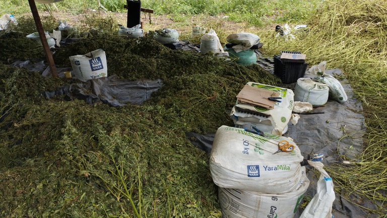 WhatsApp Image 2026-04-24 at 20.47.09.jpeg