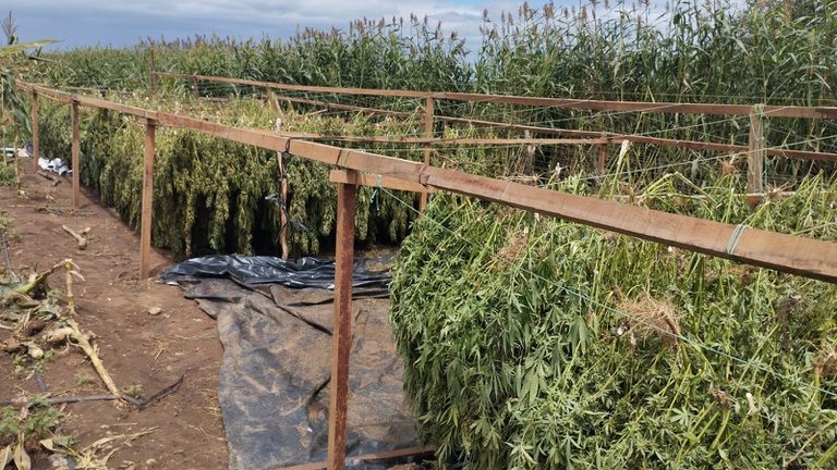 WhatsApp Image 2026-04-24 at 20.47.10.jpeg