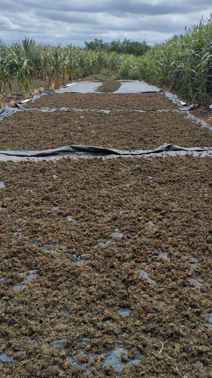 WhatsApp Image 2026-04-24 at 20.47.11.jpeg