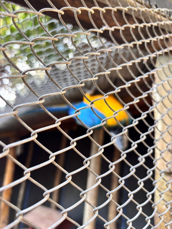 WhatsApp Image 2026-04-15 at 09.42.27 (1).jpeg