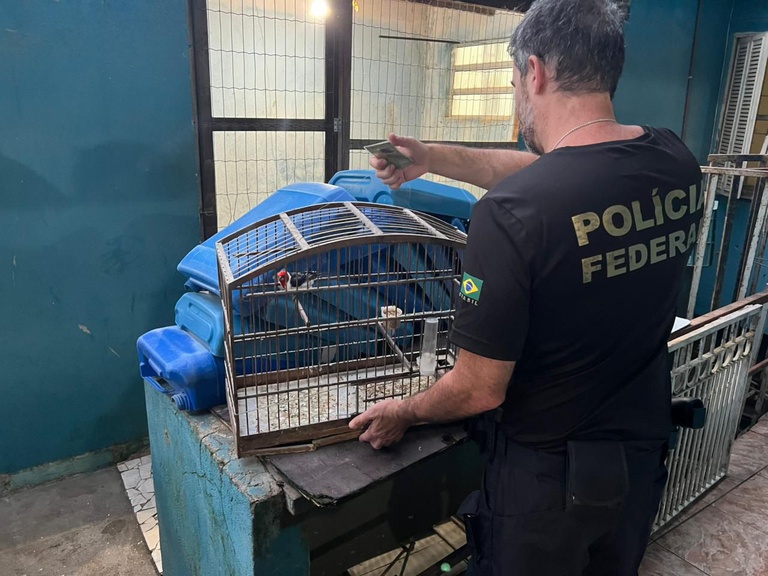 WhatsApp Image 2026-04-01 at 07.03.20 (1).jpeg