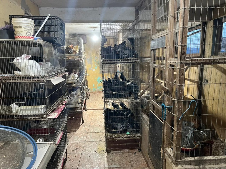 WhatsApp Image 2026-04-01 at 07.03.22.jpeg