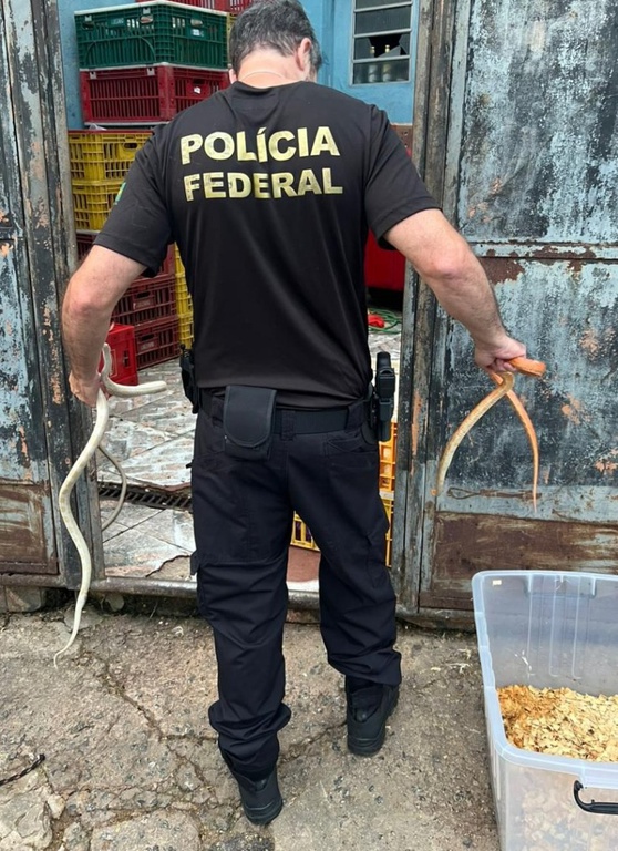 WhatsApp Image 2026-04-01 at 07.15.40.jpeg