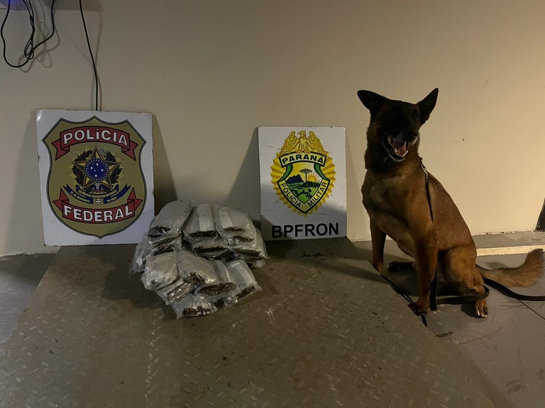 WhatsApp Image 2026-04-15 at 19.32.24.jpeg