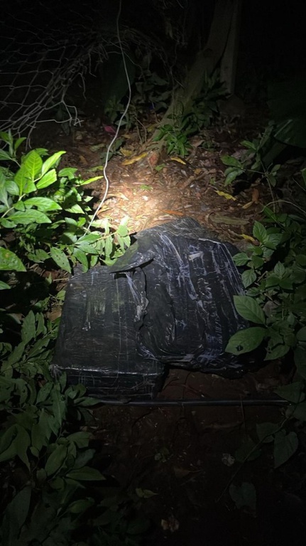 WhatsApp Image 2026-04-09 at 21.11.27.jpeg