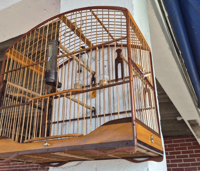 WhatsApp Image 2026-04-06 at 11.26.53.jpeg