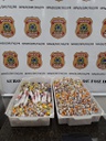 WhatsApp Image 2026-08-23 at 11.37.44.jpeg