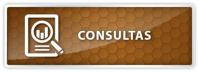 Consultas
