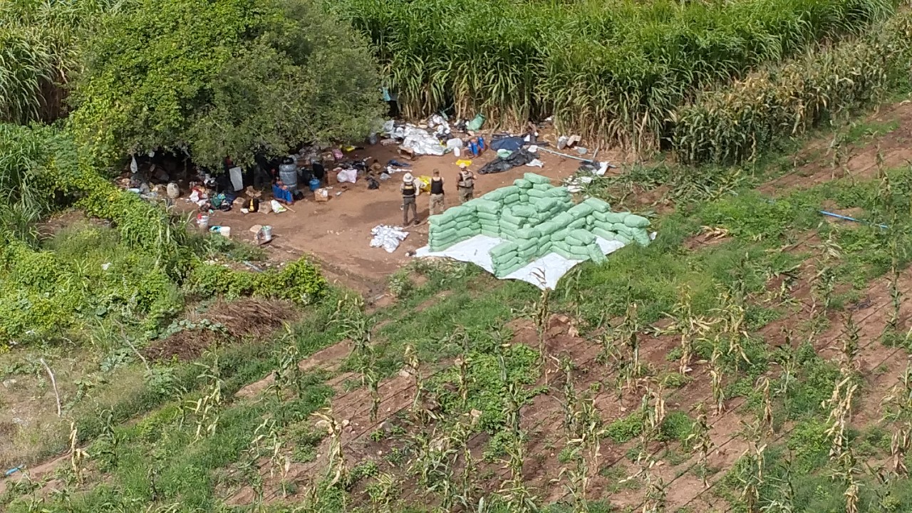 PF apreende cerca de 2 toneladas de maconha em ação no Nordeste