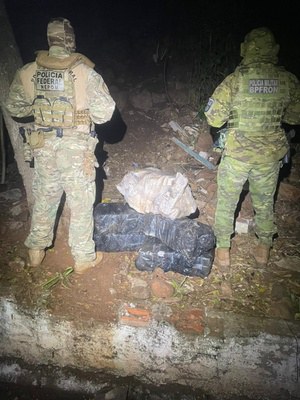PF e PM apreendem mais de 100 quilos de maconha às margens do Rio Paraná