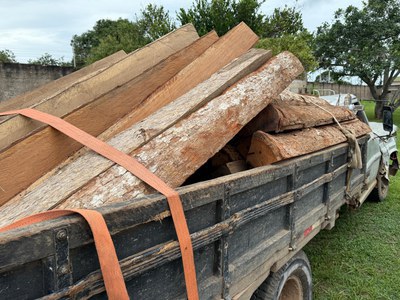 PF, PM, PRF, FUNAI e IBAMA atuam em ações integradas contra extração ilegal de madeira em Nova Mamoré