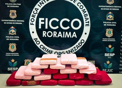 FICCO/RR apreende 20 kg de drogas na BR-174