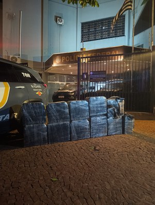 PF coordena apreensão de 350 kg de droga em São Paulo