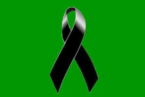 imagem para whatsapp