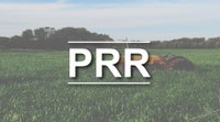 Prazo de adesão ao Programa de Regularização Tributária Rural (PRR) termina nesta quarta-feira (30)