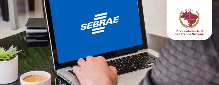 sebrae_061020.png