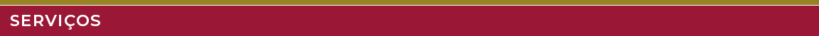 Barra_servicos.png