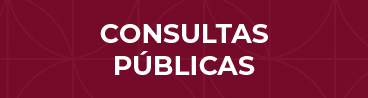 Consulta publica 5.png