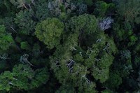 Amazon Dialogues begin on Friday