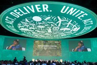 Brazil highlights commitment to 30 x 30 Goal and defends forest protection