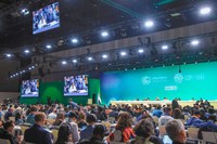 Brazil is formally elected host country for COP 30