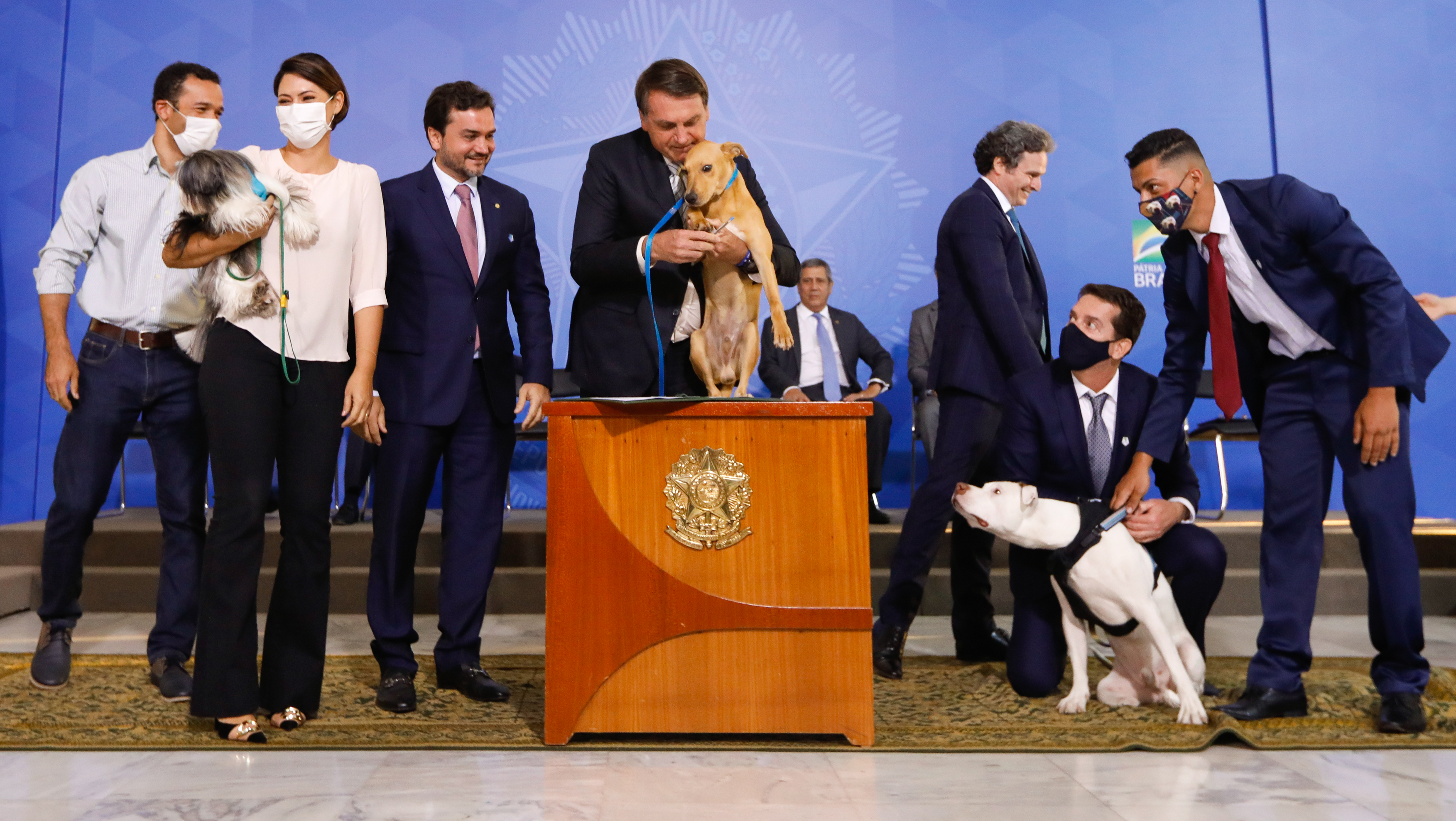 É Crime agredir ou matar um animal indefeso!