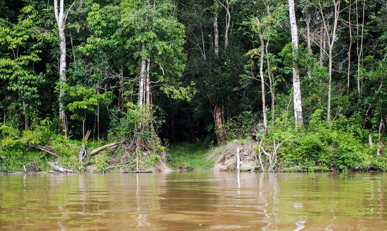 Governo lança programa Adote um Parque