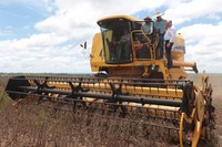 Comitiva ministerial participa da colheita de soja livre de transgênicos no Paraná