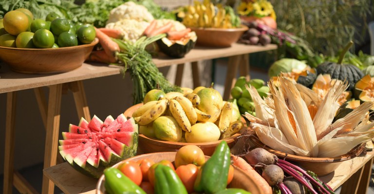 Consea cria jogo sobre comida de verdade — Conselho Nacional de Segurança  Alimentar e Nutricional