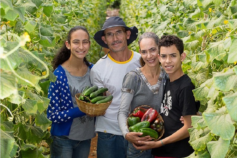 Plano Safra Agricultura Familias
