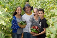 Lula retoma Plano Safra da Agricultura Familiar com juros baixos para produção de alimentos